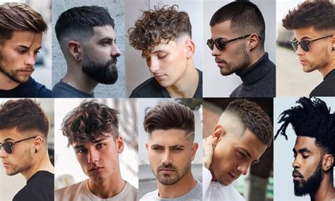 Todos Os Tipos De Corte De Cabelo Masculino Ppgbbe Intranet Biologia