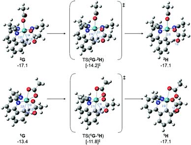 A Computational Study On The Identity Of The Active Catalyst Structure