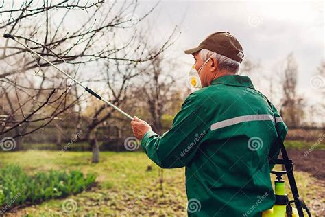 Farmer Spraying Tree With Manual Pesticide Sprayer Against Insects In