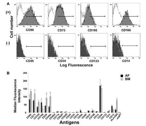 Phenotypic Characterization Of Cultured Af Mscs And Comparison To