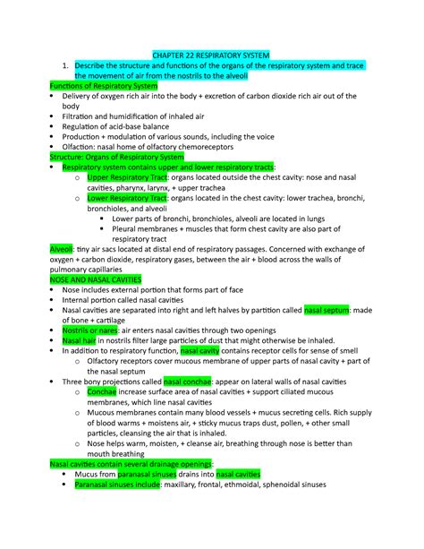 Chapter 22 Respiratory System Chapter 22 Respiratory System Describe