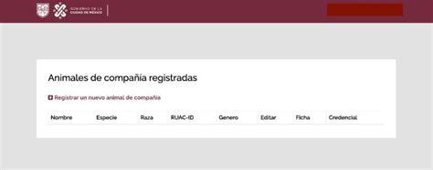 Curp Para Mascotas Qu Es Y Paso A Paso Para Tramitarlo Por Internet