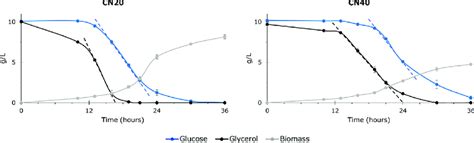 Growth And Substrate Utilization By Y Lipolytica During Bioreactor