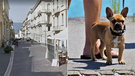 Vietare Ai Cani Laccesso A Corso Garibaldi A Benevento La Proposta