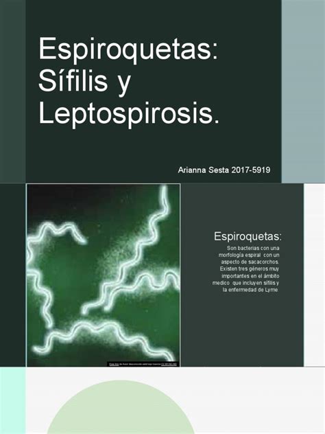 Espiroquetas Pdf