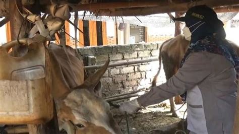 Agar Pemerintah Pusat Ikut Peduli Menangani Pemkab Tuban Minta