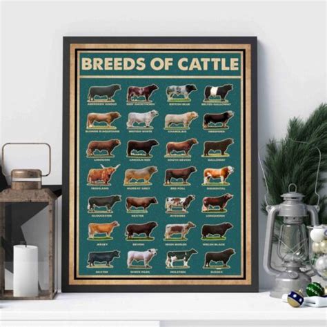 Breeds Of Cattle Knowledge Vintage Wall Art Cattle Knowledge Poster