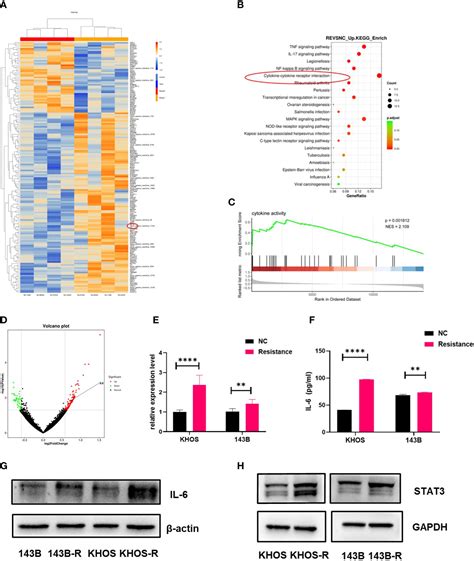 Frontiers Tocilizumab Monoclonal Anti Il R Antibody Reverses