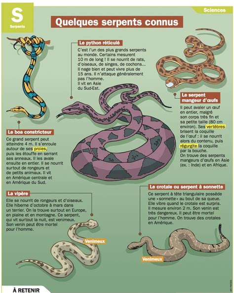 Educational infographic Fiche exposés Quelques serpents connus