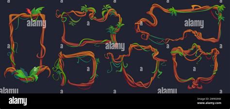 Frames And Borders Made Of Liana Twisted And Tangled Branch With Green