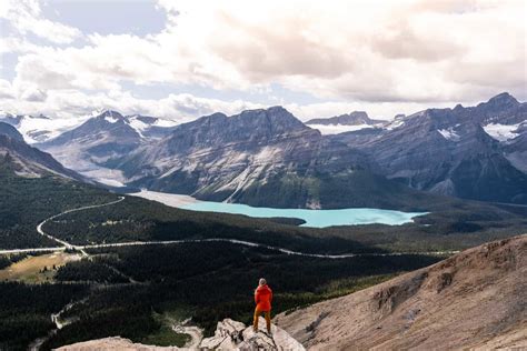22 Things To Know Before Visiting Peyto Lake