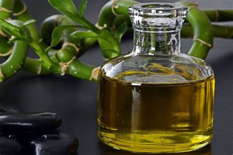 Olio di argan puro proprietà benefiche e usi dell olio del Marocco