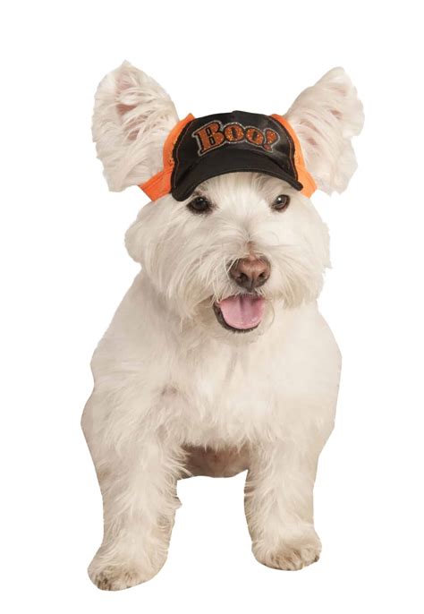 Boo Halloween Dog & Cat Baseball Cap - Pet Costume Center