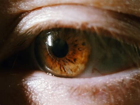 Premium Photo Extreme Close Up Of Human Eye