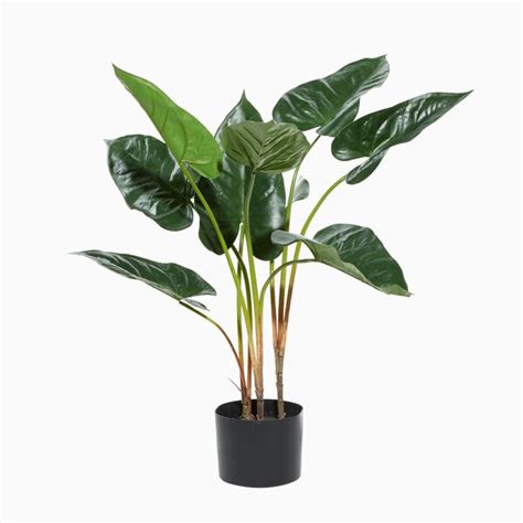 Faux Foliage Anthurium Artificial Plant With Realistic Leaves And Black