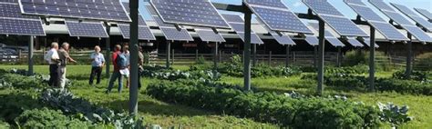 Researching The Agricultural And Economic Impacts Of Agrivoltaics Dual Use Solar Center