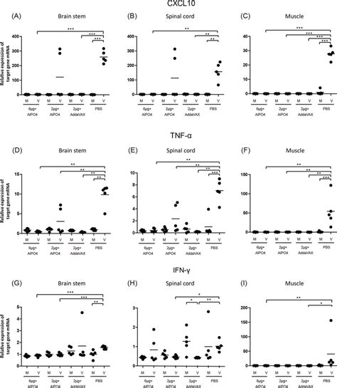 Expression Of Pro Inflammatory Cytokines Chemokines In The Cns Download Scientific Diagram