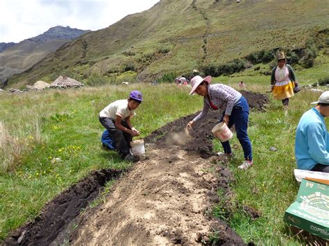 Minagri Comercializar Por Primera Vez Guano De Las Islas En Ucayali