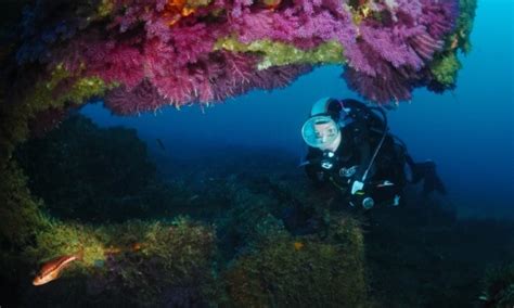 Ceuta Promocionará Su Encanto Submarino En Dos Ferias De Referencia