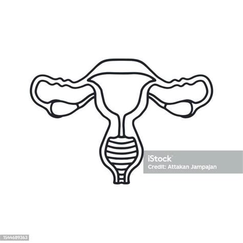 Uterus Hand Drawn Icon Doodle Style Stock Illustration Download Image Now Adult Anatomy