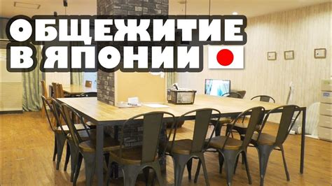 Зачем японцы живут в общежитии? Интервью с русской студенткой в Японии ...