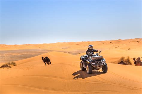 Que faire à Merzouga 10 activités pour découvrir les dunes de Merzouga