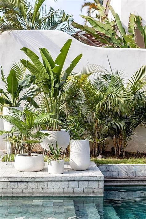 25 Beautiful Poolside Tropical Gardens For Summer HomeMydesign