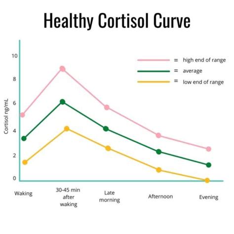 Natural Ways To Lower Cortisol Top Foods That Lower Cortisol