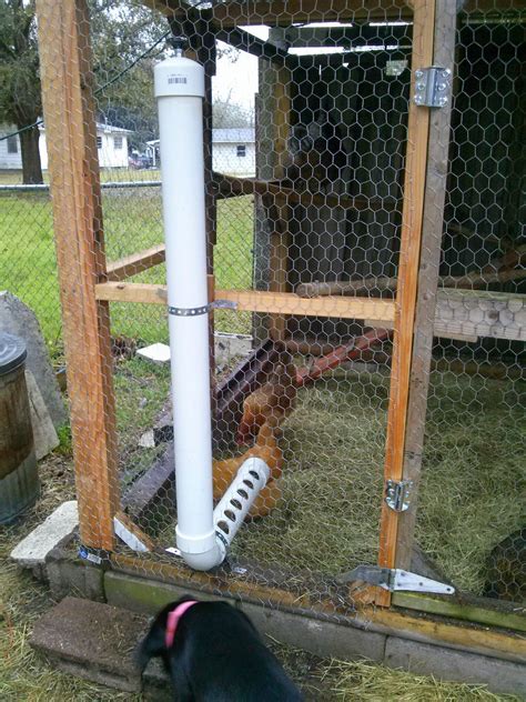 Chadtheartist72 Pvc Pipe Chicken Feeder