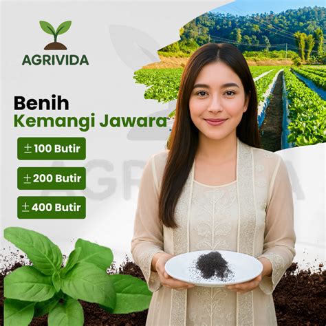 jual agrivida benih kemangi jawara  butir cepat tumbuh