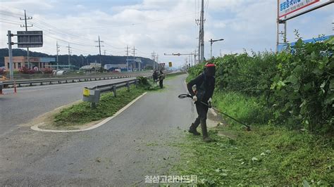 선남면 성주생명문화축제 맞이 도로변 환경정비 실시