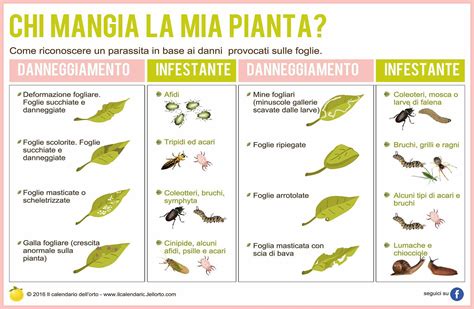 Il Calendario Dell Orto Schede Tecniche Orto Piante Parassiti Del