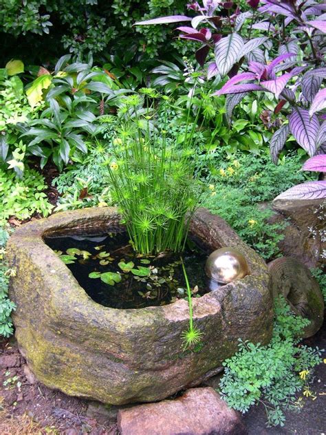 Water Garden In A Trough Container Water Gardens Small Gardens