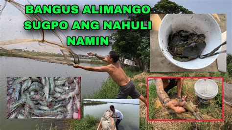 Fishpond Ng Sugpo Alimango Bangus At Hipon Ng Gustong Magpagawa Satin