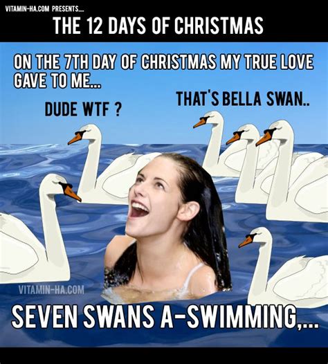 Twisted 12 Days Of Christmas 12 Days Of Christmas Christmas Humor