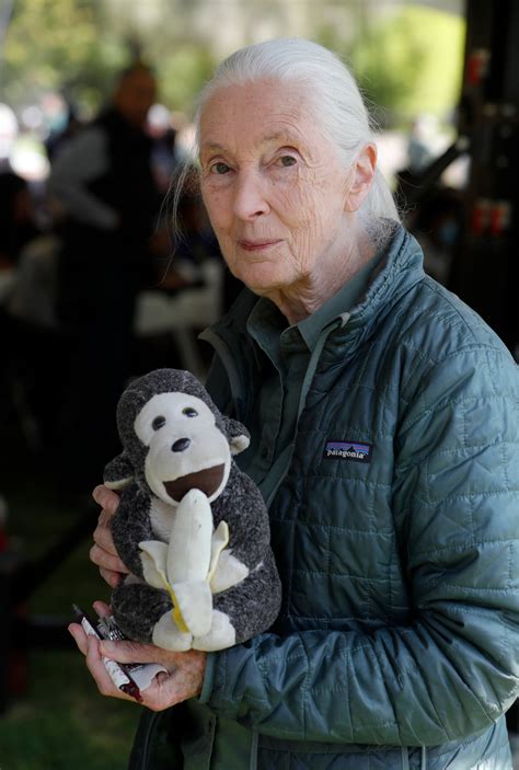 Conservationist Jane Goodall, whose work revolutionized the study of