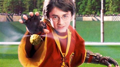 Harry Potter Catching Golden Snitch