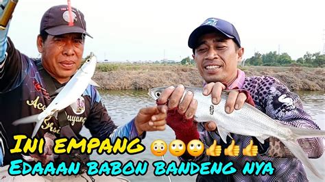 Info Mancing Perdana Bandeng Dan Lomba Minggu 29 September 2024