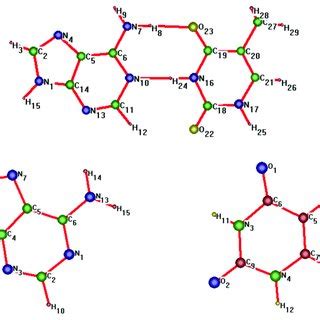 Adenine-thymine pair (top) and separate molecules (bottom). | Download Scientific Diagram