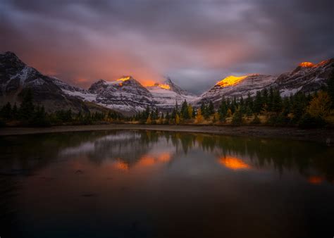 Morning Light By Dawn X W