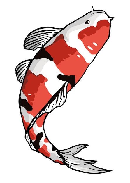 Ikan Koi