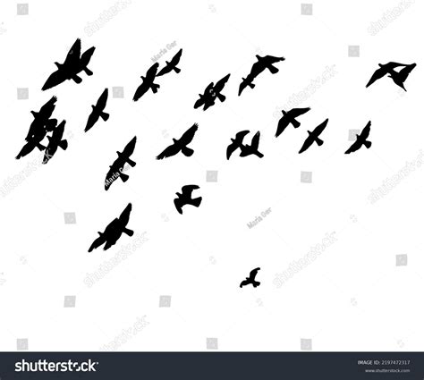 Flying Birds Silhouette White Background Vector Stock Vector Royalty