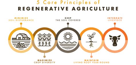 What is Regenerative Agriculture – Cottingham Farm