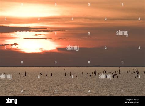 Le Lac Volta Au Ghana Au Coucher Du Soleil Africa World S Plus Grand