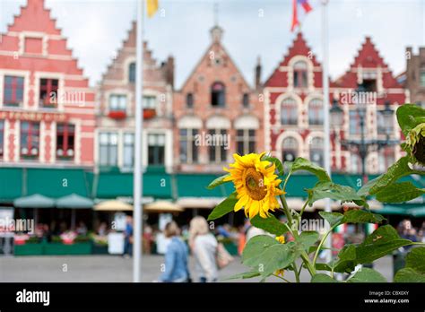Market Square Bruges Stock Photo Alamy