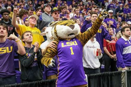 Lsus Mascot Mike Tiger Cheers Student Editorial Stock Photo - Stock ...