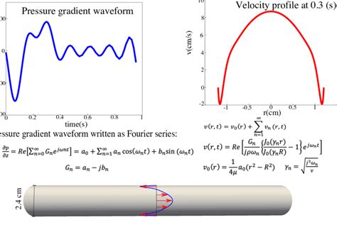 The Pressure Gradient Driving The Flow And The Corresponding