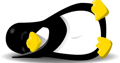 10 Popular And Best Linux Live Cds