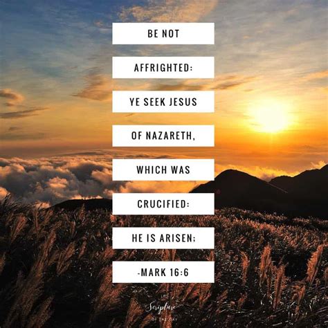 Mark 166 Latter Day Saint Scripture Of The Day