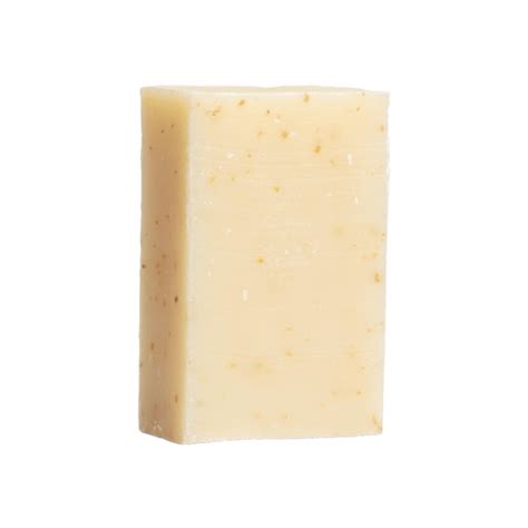 5 Best Biodegradable Soaps to Shop in 2023 - Brightly